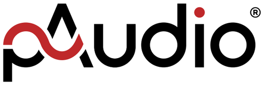pAudio