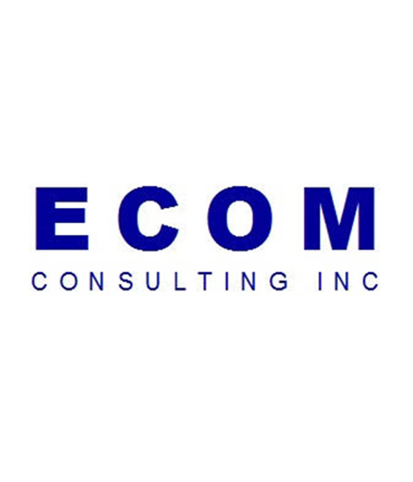 Ecom Consulting INC